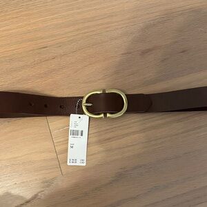 Anthropologie Dark Brown Belt with Gold Buckle